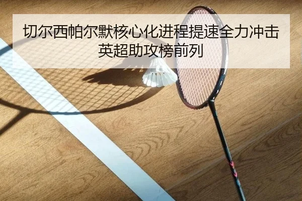 切尔西帕尔默核心化进程提速全力冲击英超助攻榜前列